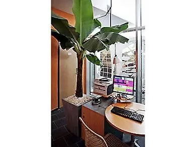 Novotel Europe 4*